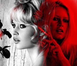 Brigitte bardot,artiste peintre, tableau, rénovation, décoration, street art, Popart, homedesign, sculpture, œuvres, intérior, collector, women, love, pochoir, luxe, graphique, Instagram, collage, sandrinehayat, modernart, art, Gallery, gallerie, Painting, peinture, design, vernissage, customiser