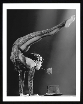 photo, oeuvre, tableau, artiste, artiste peintre, contemporain, atelier , atelier pop art, decoration, galerie,