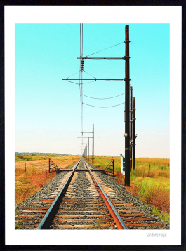 artiste, peintre,paris,tableau,oeuvres d art, peinture