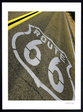 photo, oeuvre, tableau, artiste, artiste peintre, contemporain, atelier , atelier pop art, decoration, galerie,
