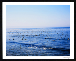 photo,oeuvre, tableau, artiste, artiste peintre, contemporain, atelier , atelier pop art, decoration, galerie,