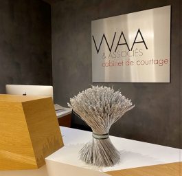 artiste peintre, tableau, rénovation, décoration, street art, Popart, homedesign, sculpture, œuvres, intérior, collector, women, love, pochoir, luxe, graphique, Instagram, collage, sandrinehayat, modernart, art, Gallery, gallerie, Painting, peinture, design, vernissage, customiser